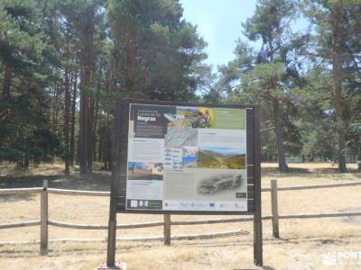Montes de Peguerinos, cuna de la mariposa isabelina; excursiones organizadas fin de semana alimentac